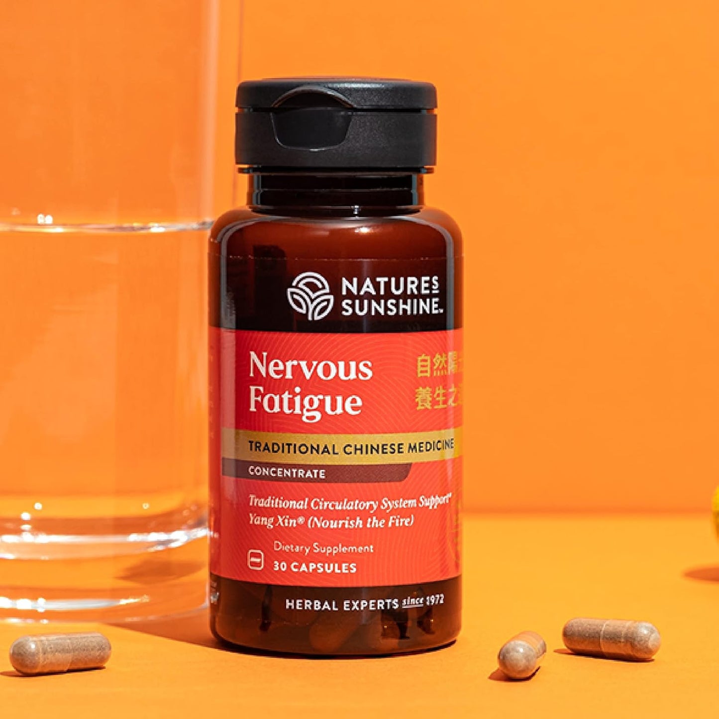 Nature's Sunshine Nervous Fatigue TCM Concentrate - görsel 2