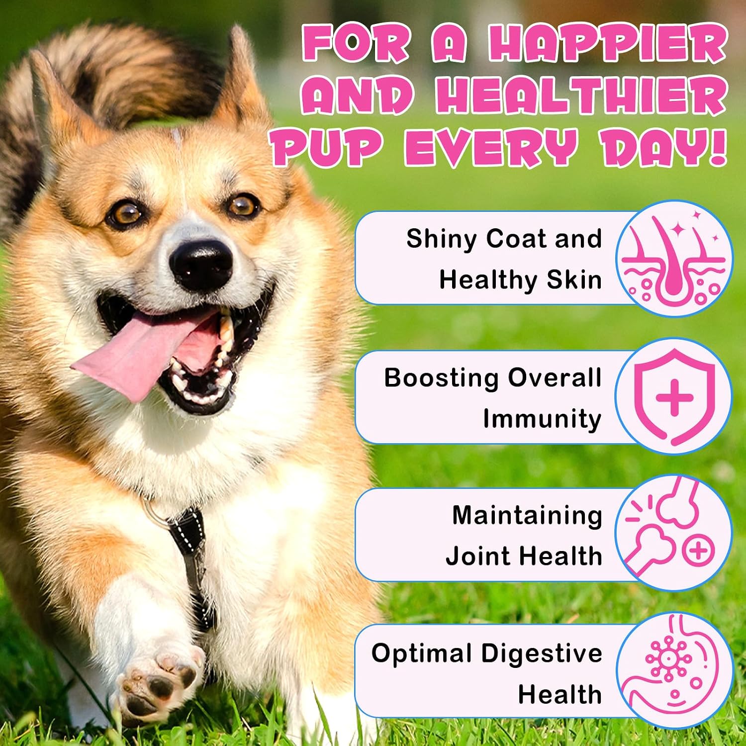 Collagen for Dogs - Liquid Drops with Biotin, MSM and Ginger - 60 ml - görsel 5