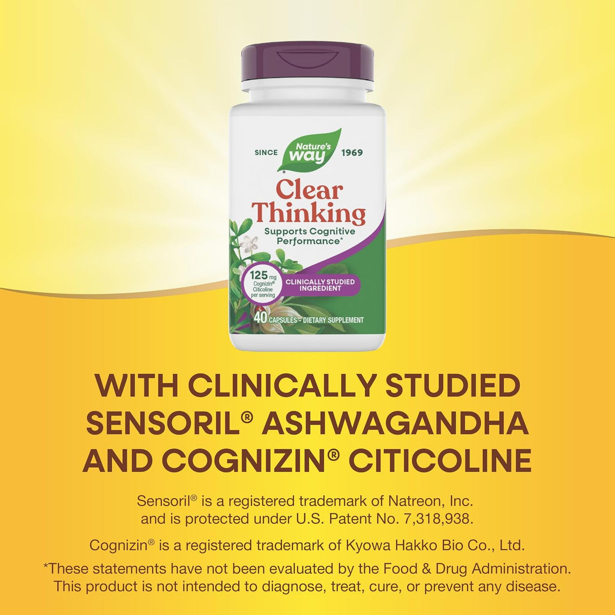Nature's Way Clear Thinking Cognitive Performance, Ashwagandha, 40 Capsules - görsel 4