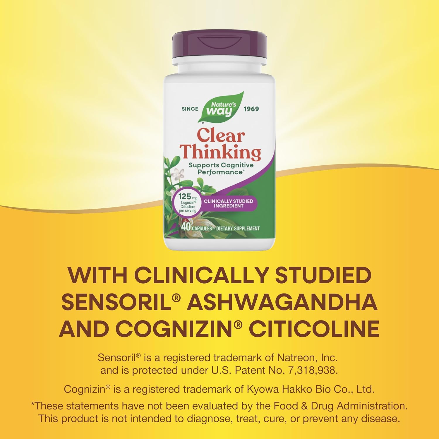 Nature's Way Clear Thinking Cognitive Performance, Ashwagandha, 40 Capsules - görsel 4