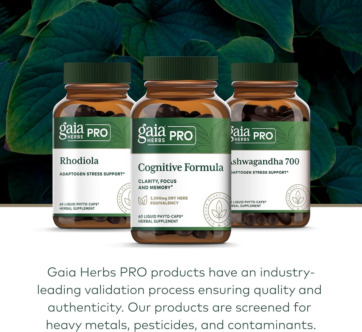 GAIA HERBS PRO Cognitive Formula - Brain Health & Blood Flow Support with Fo-Ti Root, Ginkgo Leaf, & Gotu Kola Leaf - 60 Liquid Phyto-Caps (30 Servings) - görsel 6