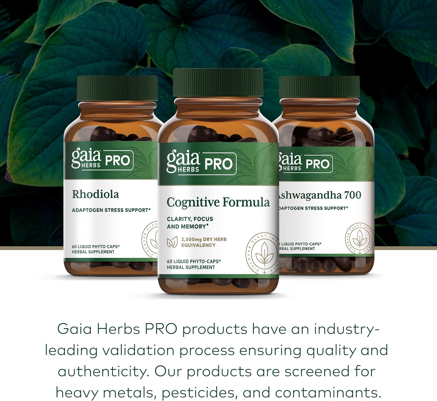 GAIA HERBS PRO Cognitive Formula - Brain Health & Blood Flow Support with Fo-Ti Root, Ginkgo Leaf, & Gotu Kola Leaf - 60 Liquid Phyto-Caps (30 Servings) - görsel 6