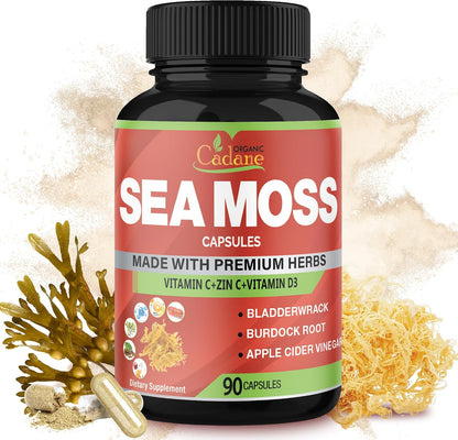 Organic Cadane Irish Sea Moss Extract Capsules – Contributes to Normal Immune Function & General Health – 90 Capsules