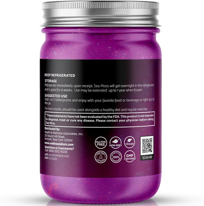 WELLNESS LABSRX Irish Sea Moss Gel Raw – Wildcrafted Seamoss Gel, Elderberry Flavour, Vitamin & Mineral-Rich, Immune & Digestive Health Support – 283 g (10 oz)