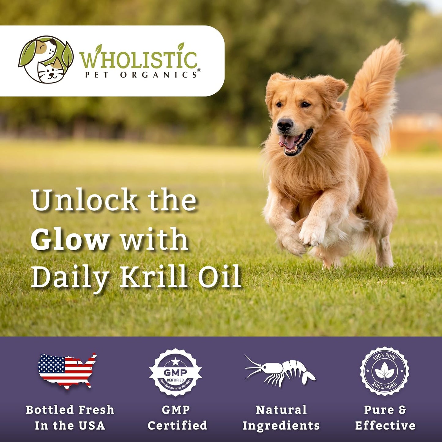 Krill Oil for Dogs and Cats - Premium Antioxidant Support for Pets - Cat and Dog Skin and Coat Supplement with EPA, DHA, Astaxanthin - Omega-3 for Dogs and Cats - 200 Softgels - görsel 7