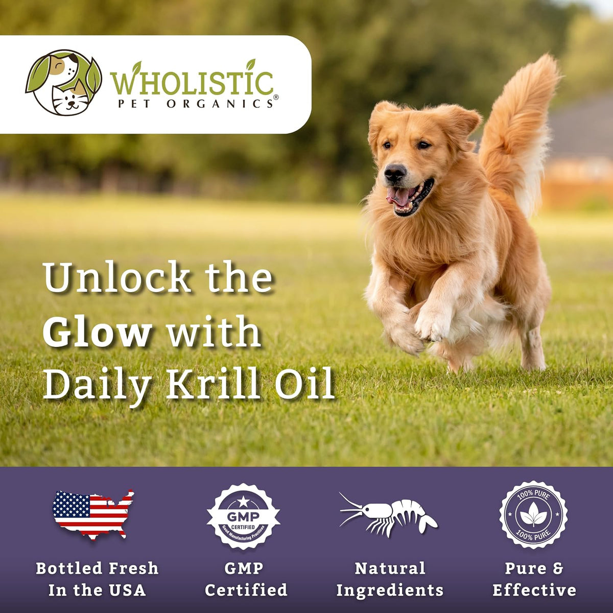 Krill Oil for Dogs and Cats - Premium Antioxidant Support for Pets - Cat and Dog Skin and Coat Supplement with EPA, DHA, Astaxanthin - Omega-3 for Dogs and Cats - 200 Softgels - görsel 7