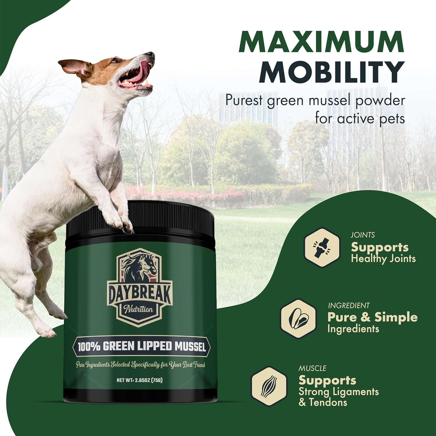 Pure Green Lipped Mussel Powder for Dogs and Cats - 100% New Zealand Green Lipped Mussels - Joint Support Supplement - 150 Grams - görsel 2