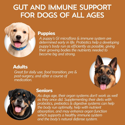 Fidobiotics Good Guts Probiotics for Dogs – Digestive Health Powder, 6 Billion CFU