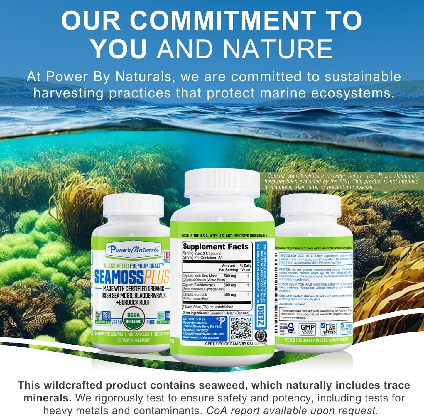 Power By Naturals Sea Moss Plus – Organic Irish Sea Moss, Bladderwrack & Burdock Root – 120 Capsules (2-Pack) - görsel 10
