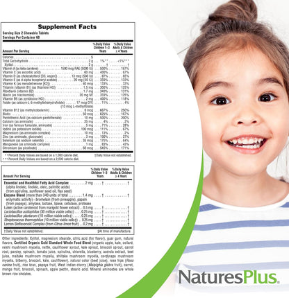 Nature's Plus Animal Parade Gold Children's Chewable Multivitamin - Natural Cherry Flavour - 120 Animal Shaped Tablets (Pack of 2)