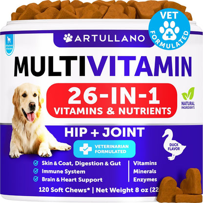 26-in-1 Dog Multivitamin Chews with Glucosamine, 120 Chews