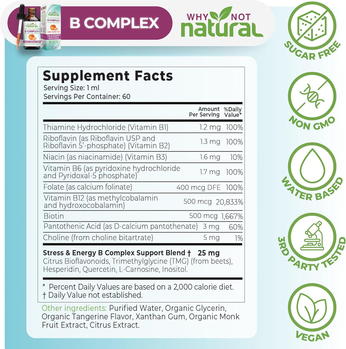 Why Not Natural Vitamin B Complex Liquid Drops – Vegan Sublingual B-Complex with Bio-available B1, B2, B3, B5, B6, Biotin, Folate, B12, Choline and Energy Support Blend - görsel 4