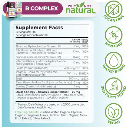 Why Not Natural Vitamin B Complex Liquid Drops – Vegan Sublingual B-Complex with Bio-available B1, B2, B3, B5, B6, Biotin, Folate, B12, Choline and Energy Support Blend