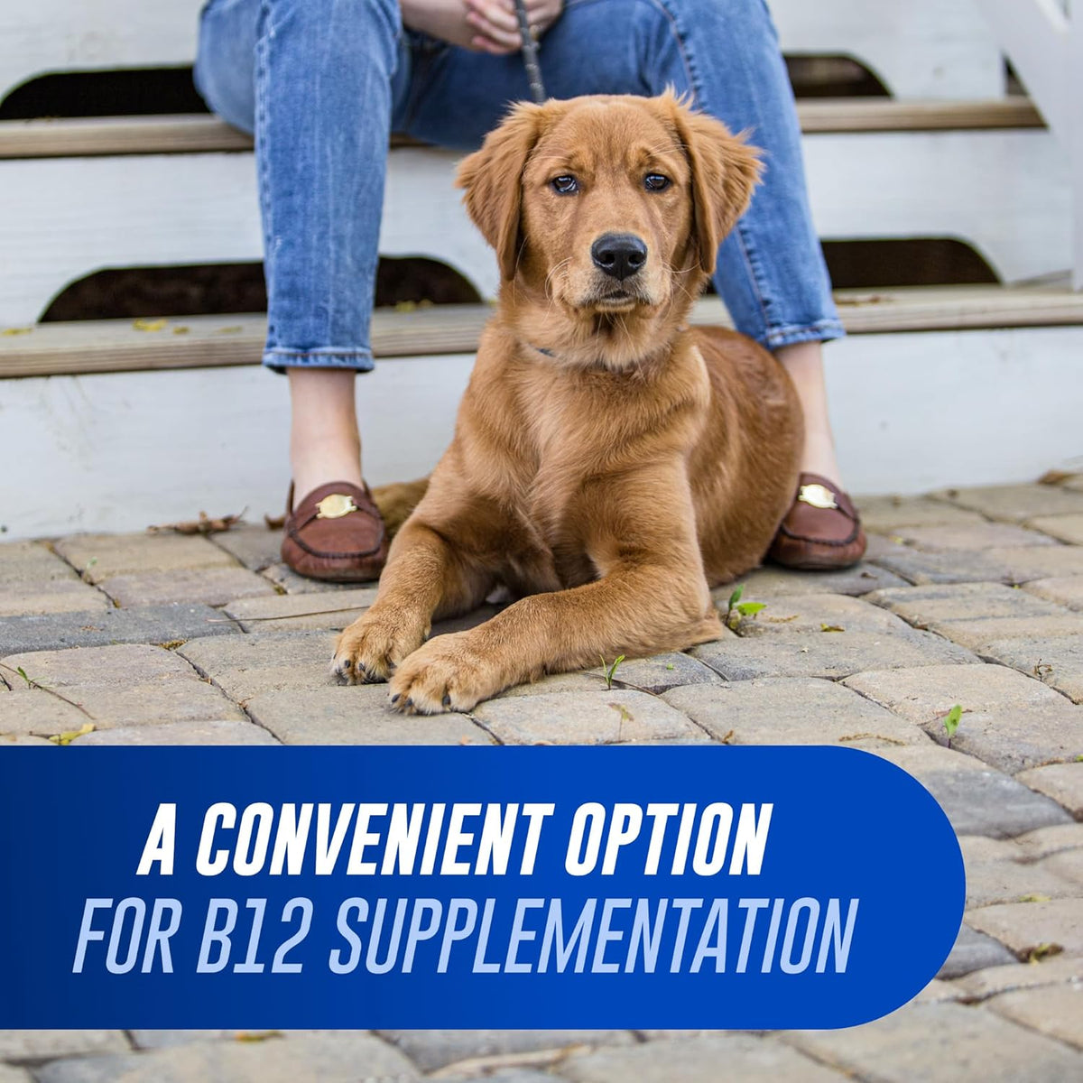 Nutramax Cobalequin B12 for Dogs – Oral Cobalamin Supplement with Folate, 45 Chewable Tablets - görsel 3