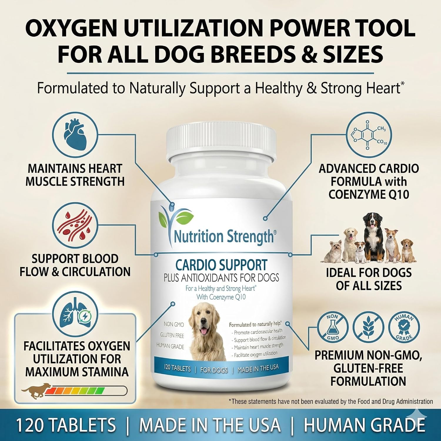 Cardio Support for Dogs Plus Antioxidant, L-Carnitine, L-Taurine, with Coenzyme Q10 and Vitamin E, Supports a Healthy and Strong Dog Heart, 120 Chewable Tablets - görsel 5