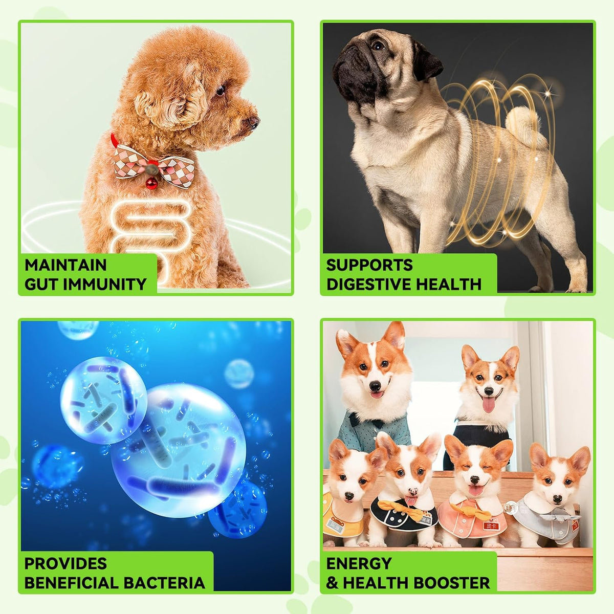 Liquid Dog Probiotic, Natural 3 in 1 Probiotic for Dogs, Digestive Support, Gut Health – 60ml - görsel 4