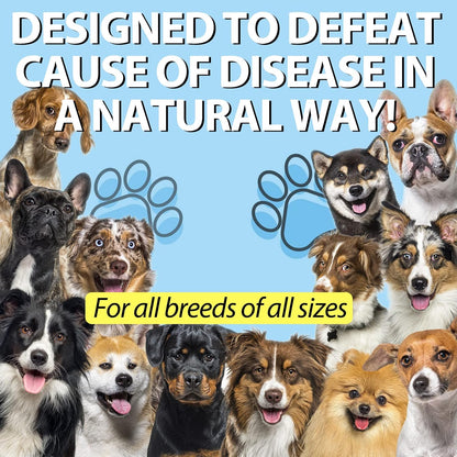 Kennel Cough for Dogs - Natural Herbal Cough Support, Gentle Dog Congestion Relief, Liquid Dog Allergy Support