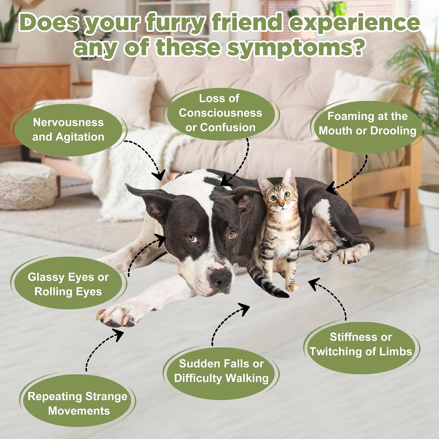 Seizure and Epilepsy Supplement for Dogs and Cats, Nervous System Support, Natural Herbal Help for Anxiety, Muscle Twitching, Drooling and Repetitive Movements - görsel 3