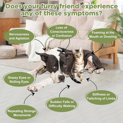 Seizure and Epilepsy Supplement for Dogs and Cats, Nervous System Support, Natural Herbal Help for Anxiety, Muscle Twitching, Drooling and Repetitive Movements