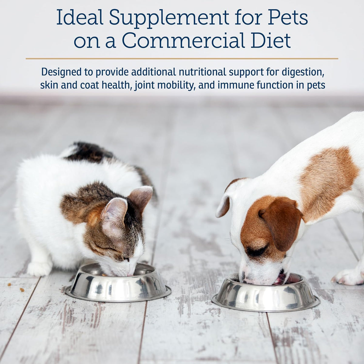 Rx Vitamins Nutritional Support – A – Omega-3 Fatty Acids (from Fish Meal and Flaxseed): Omega-3s are well known – Image 4