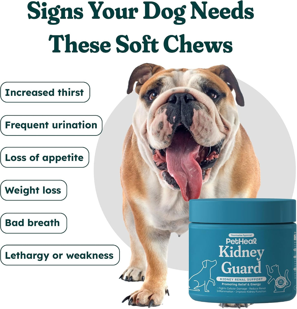 PetHeal Kidney Guard Chews for Dogs - Vet-Reviewed Renal Support with Astragalus, Cordyceps, Dong Quai & Rehmannia - 30 Soft Chews, Pork Flavour - görsel 2