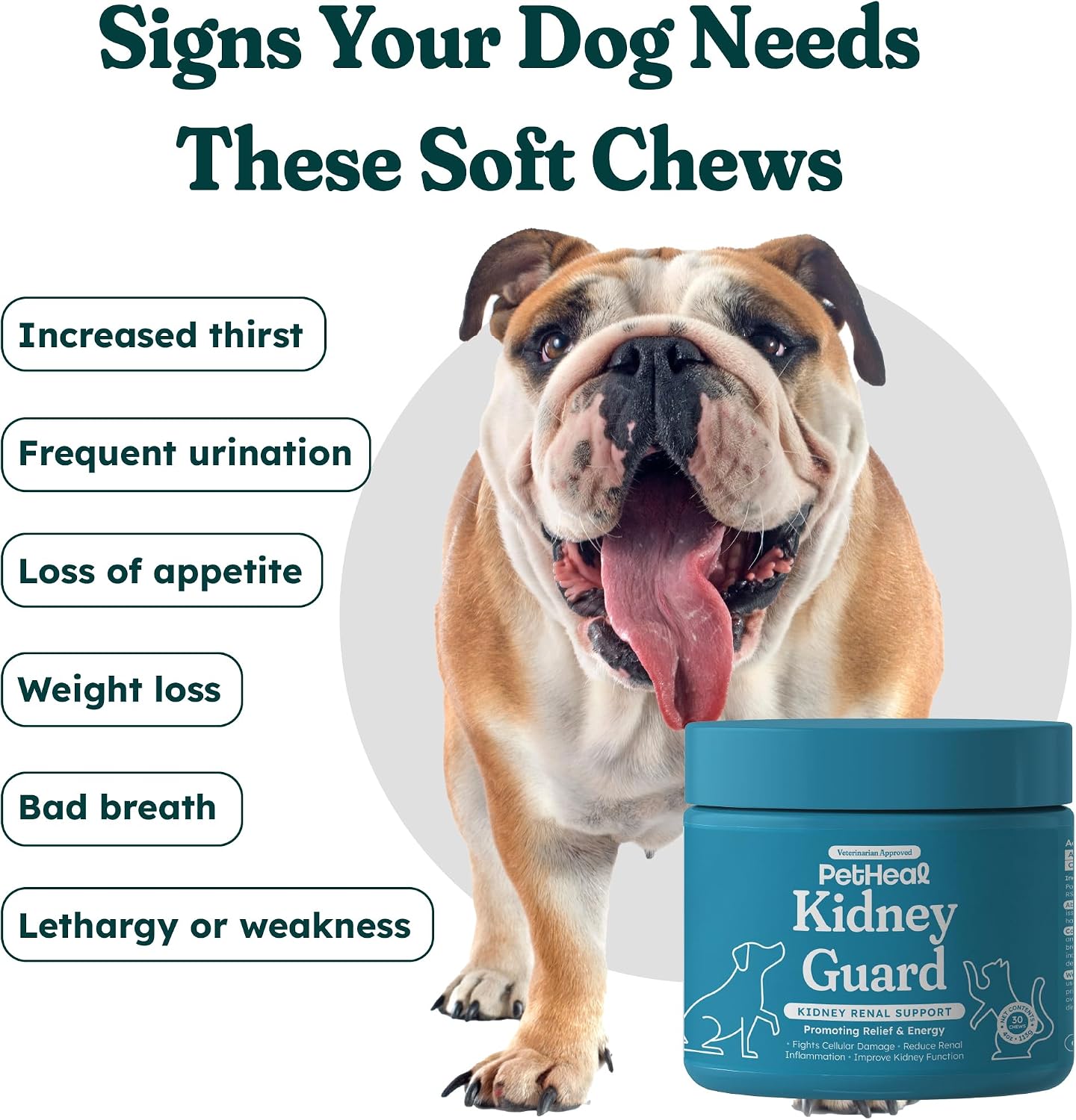 PetHeal Kidney Guard Chews for Dogs - Vet-Reviewed Renal Support with Astragalus, Cordyceps, Dong Quai & Rehmannia - 30 Soft Chews, Pork Flavour - görsel 2
