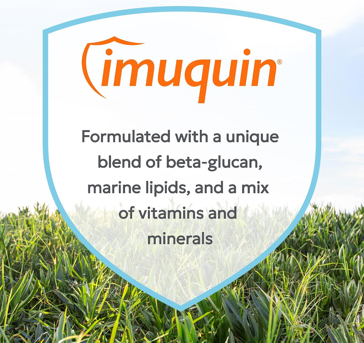 Nutramax Laboratories Imuquin Immune Health Supplement Powder for Dogs, 30 Sachets - görsel 3