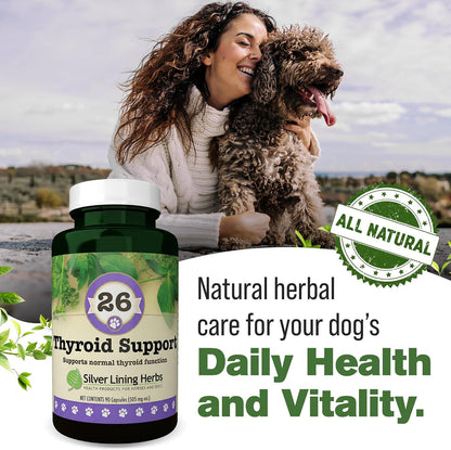 Silver Lining Herbs Thyroid Support for Dogs - 90 Capsules