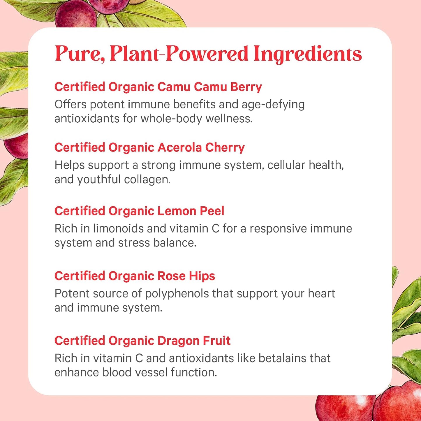 Pure Synergy Pure Radiance C | Organic Vitamin C Powder | 100% Natural, Whole Food, Non-GMO Supplement with Organic Camu Camu | for Immune Health & Collagen Support (88g Powder) - görsel 5