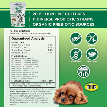 Vital Planet Flora Dog Probiotics – 20 Billion Cultures & 11 Strains, Bacon Flavoured Soft Chews (30 Count)