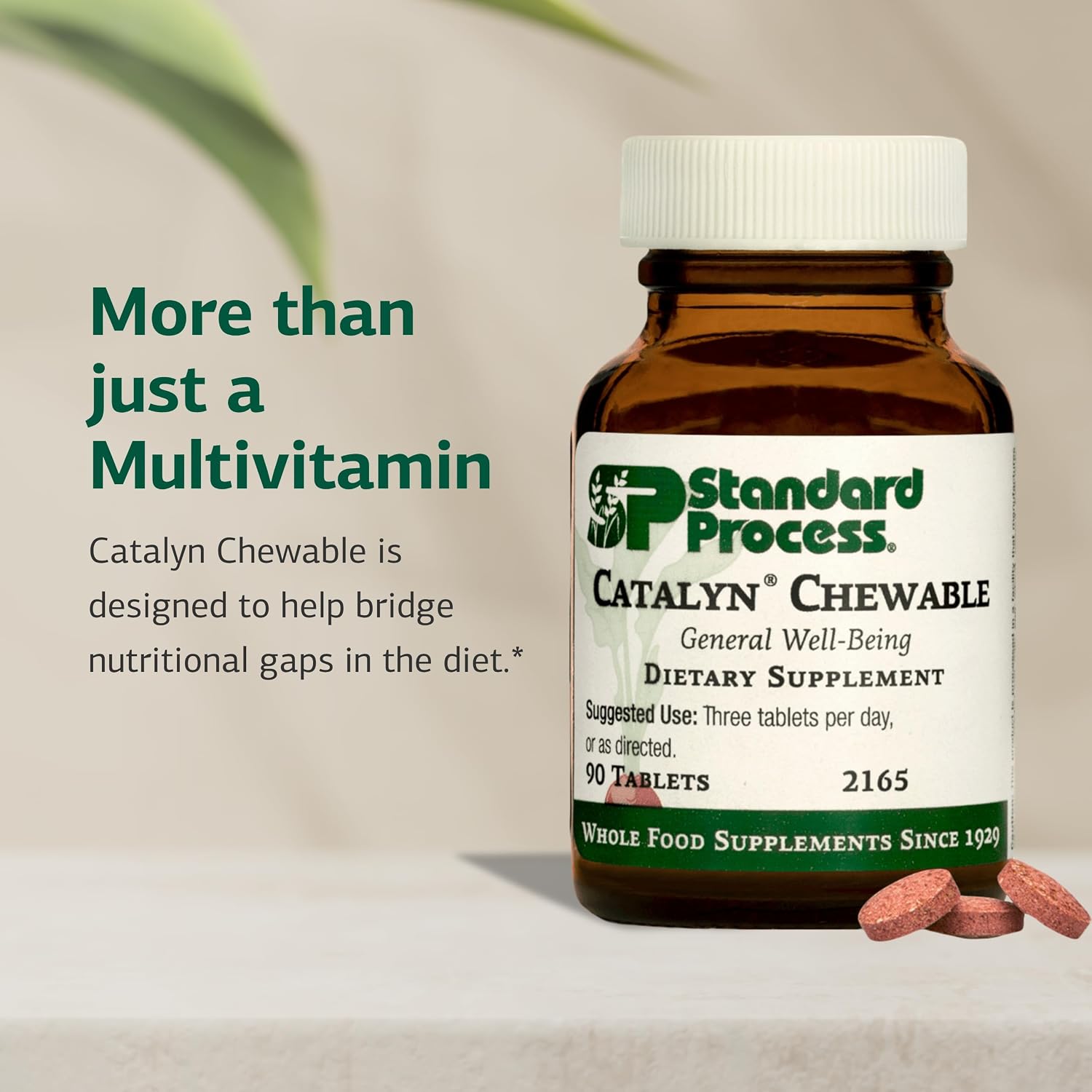 Standard Process Catalyn Chewable - Whole Food Multivitamin with Vitamins A, D, B6 - 90 Chewable Tablets - görsel 3