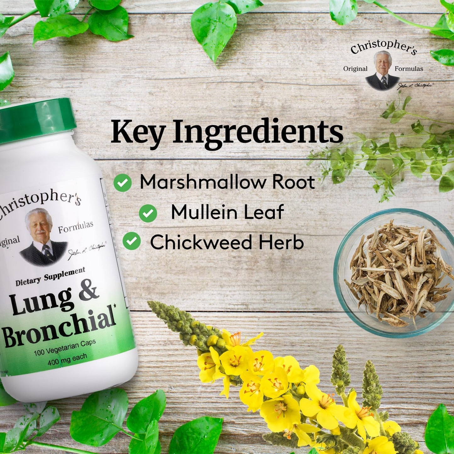 Dr. Christopher's Lung and Bronchial – 450 mg – 100 Vegetarian Capsules - görsel 3