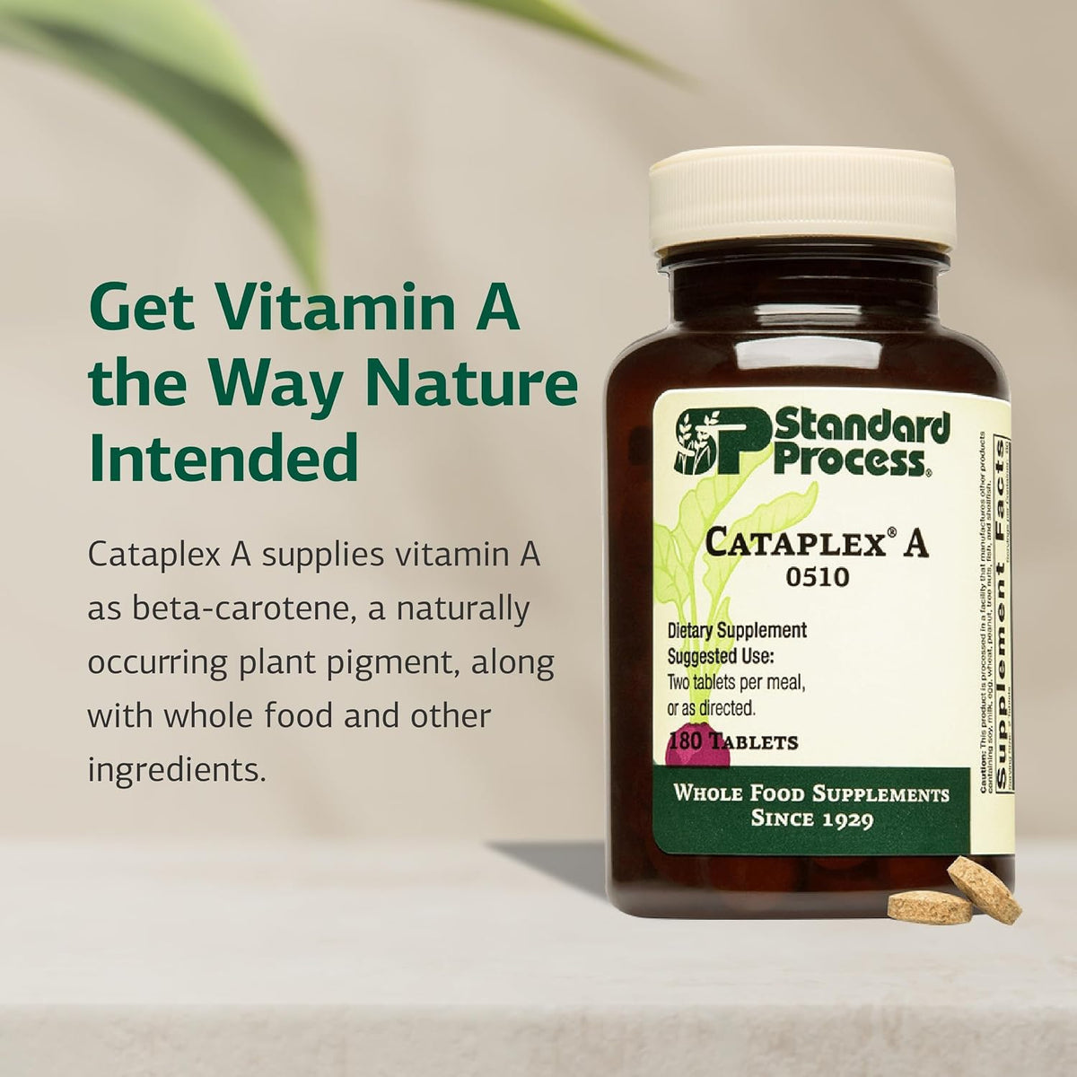 Standard Process Cataplex A - Supports Eye Health and Mucous Membranes - Non-Dairy and Non-Soya - 180 Tablets - görsel 3