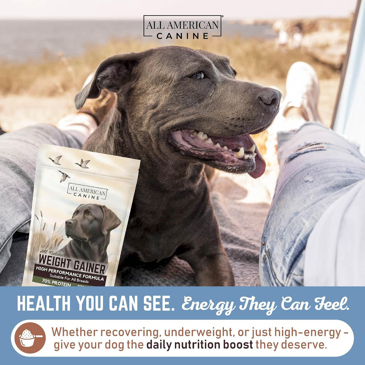All American Canine Dog Weight Gainer – High Calorie Supplement, 60 Servings - görsel 4