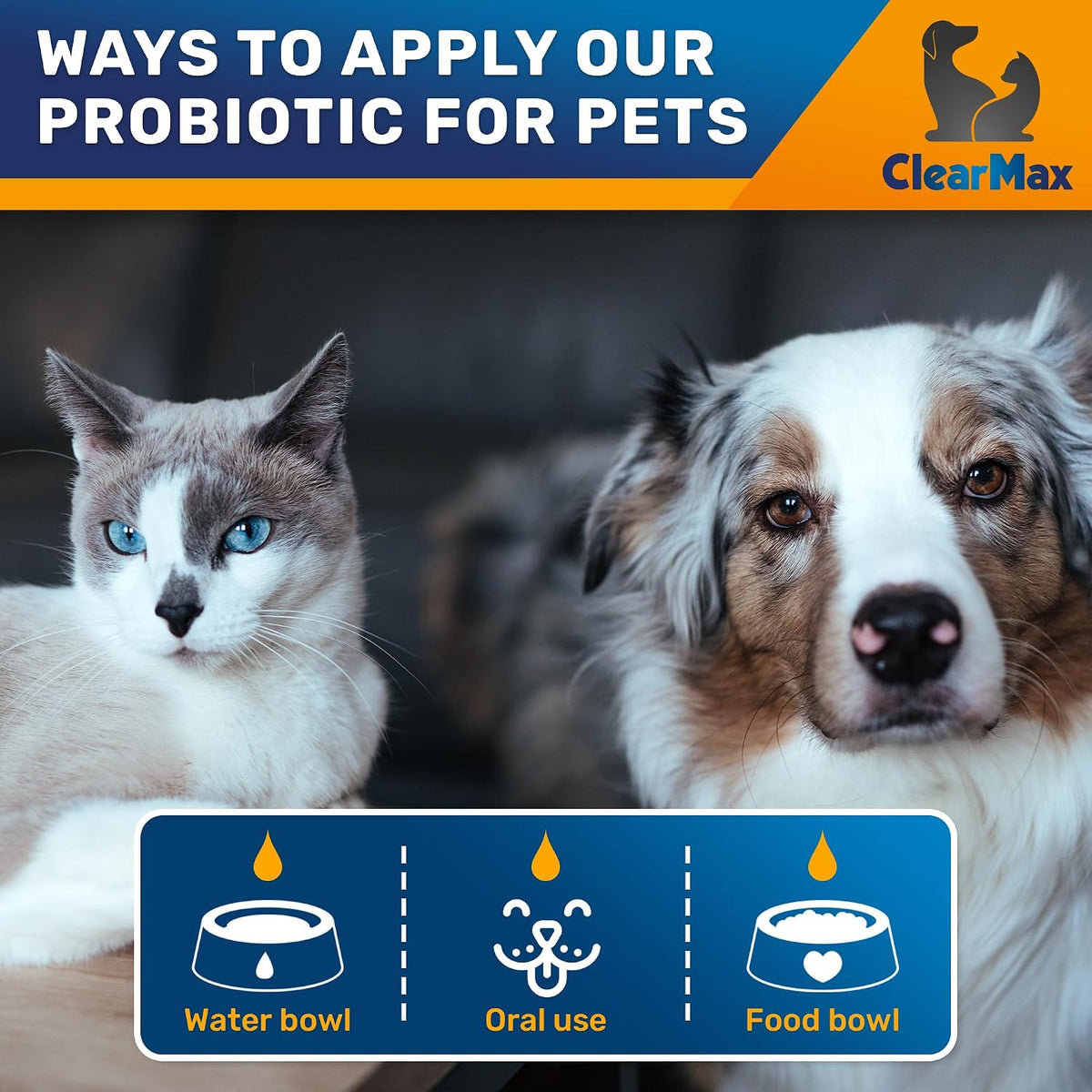 Liquid Probiotics for Dogs and Cats – 6 Billion CFU Pet Digestive Support – Dog Probiotics with Enzymes – 2 oz (60 ml) Bottle - görsel 5
