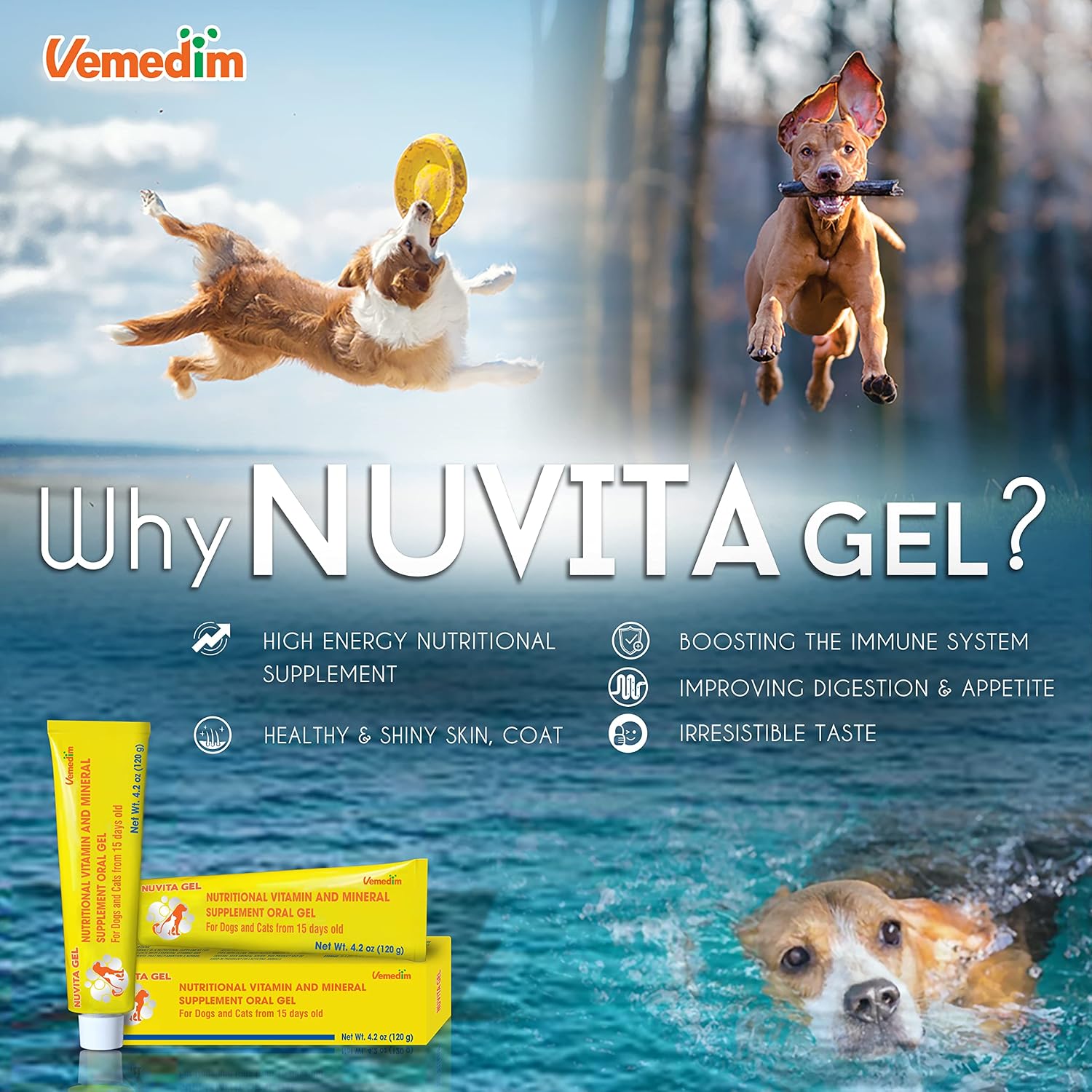 VEMEDIM Premium Nutritional and Vitamin Gel for Dogs and Cats – Multivitamin, 4.2 oz (120 g) - görsel 6