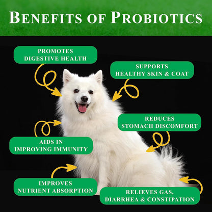 Deluxe Naturals Probiotic Soft Chews for Dogs – Digestive & Immune Support – Chicken Flavour – 360 Count
