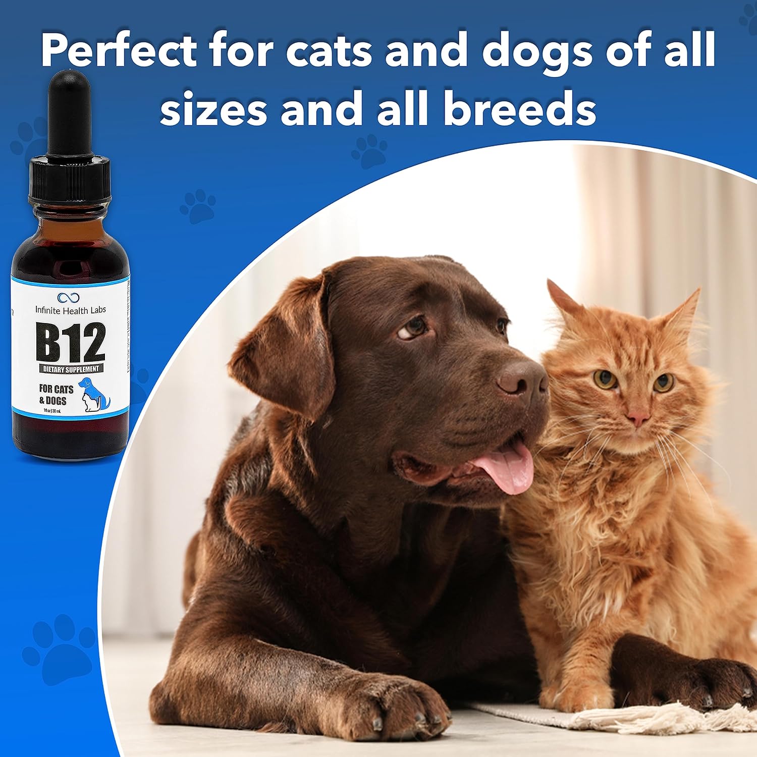 Liquid Vitamin B12 for Dogs and Cats – Vet-Formulated Methylcobalamin – Energy, Appetite & Mood Support - görsel 4