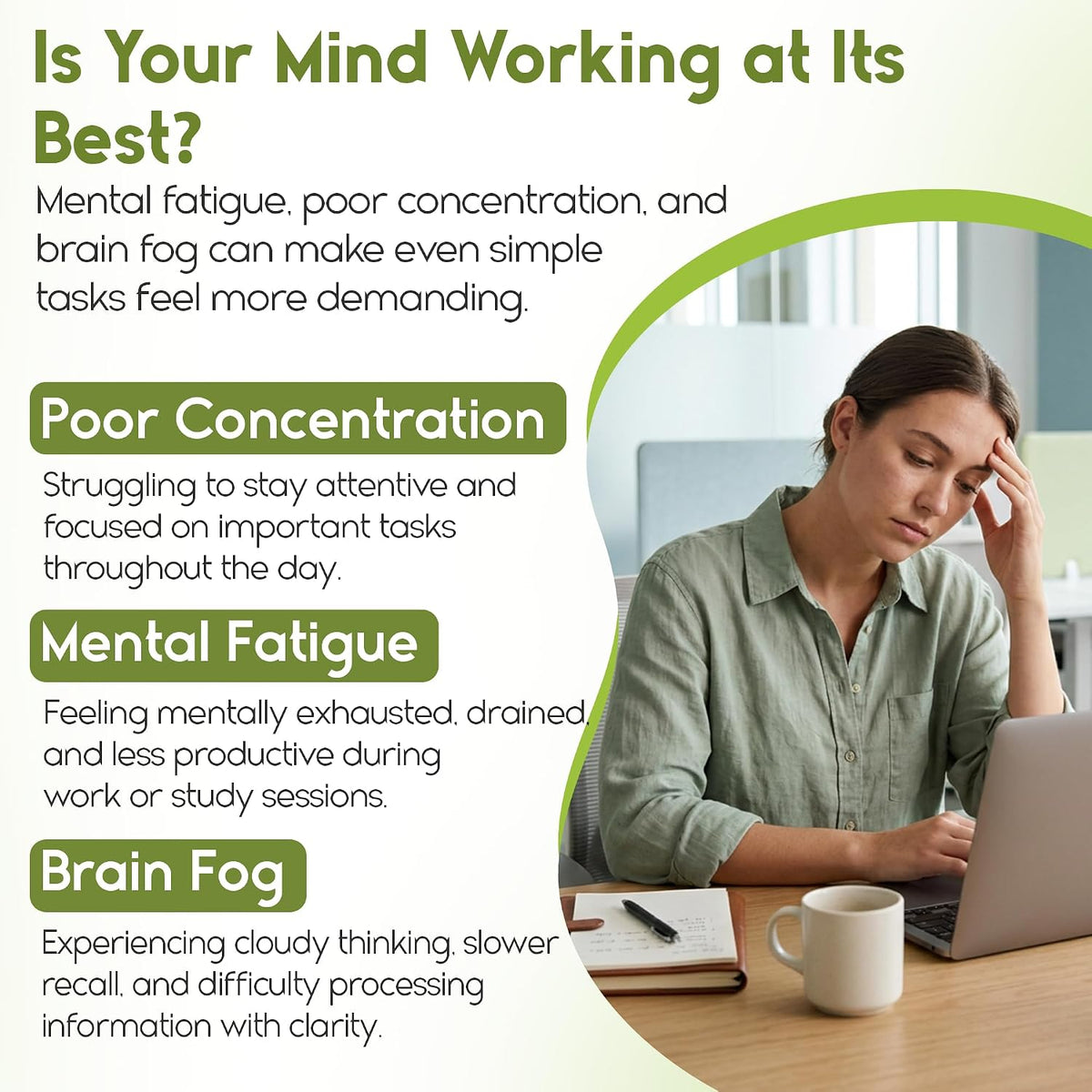 Cerevra - Powerful Nootropic, High Absorption, Non-GMO, Made in USA - görsel 7