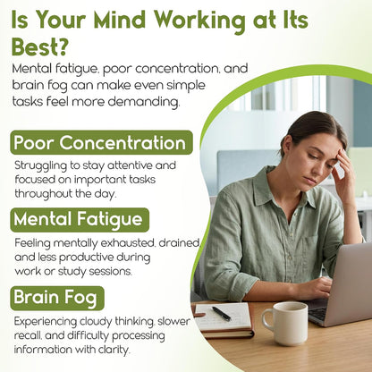 Cerevra - Powerful Nootropic, High Absorption, Non-GMO, Made in USA