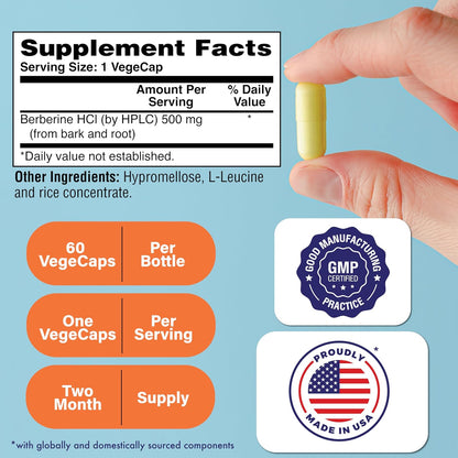 Health Thru Nutrition Berberine HCl 500mg – Clinical-Strength Supplement, Vegan, Non-GMO, 60 Capsules