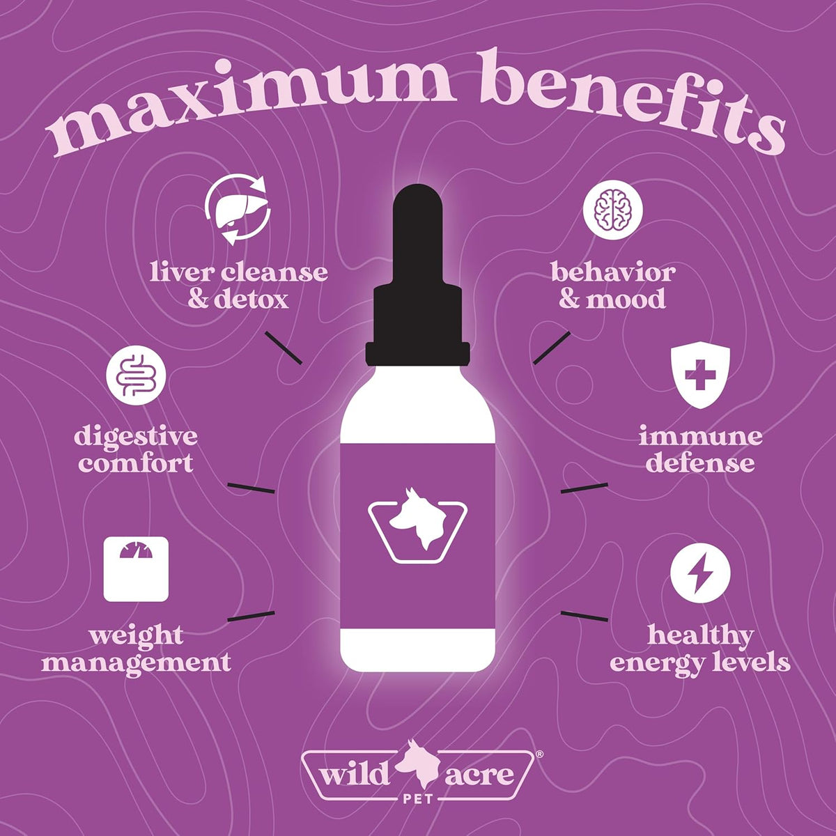 Wild Acre Milk Thistle for Dogs - Maximum Strength Liver Support - Natural Bacon Flavour - 2 fl oz (60 ml) - görsel 4