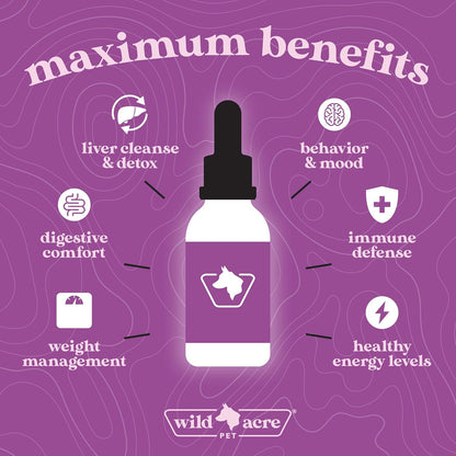 Wild Acre Milk Thistle for Dogs - Maximum Strength Liver Support - Natural Bacon Flavour - 2 fl oz (60 ml)