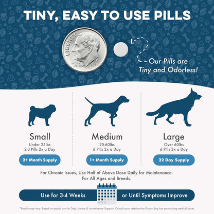 BestLife4Pets Dog UTI & Kidney Health Formula – Natural Urinary Support – 400 Tiny Pills
