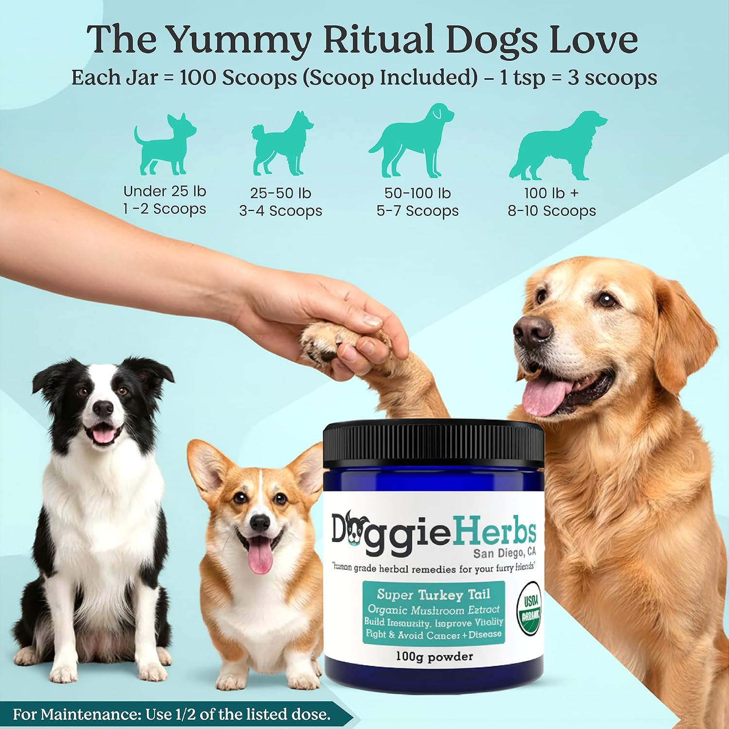 Doggie Herbs Turkey Tail Mushroom Extract for Dogs – 55% Beta-Glucans – Immune Support – 100g - görsel 5