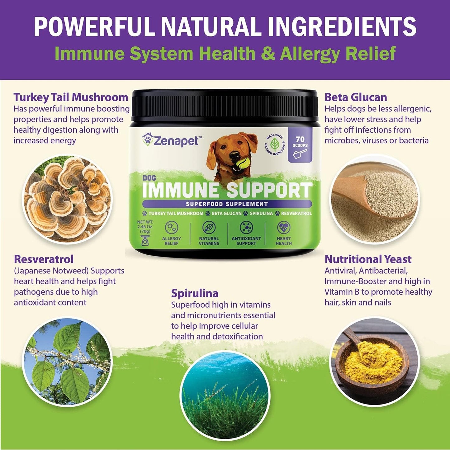 ZENAPET Dog Immune Support Premium Powder Topper – Turkey Tail, Spirulina & Beta-Glucan - görsel 3