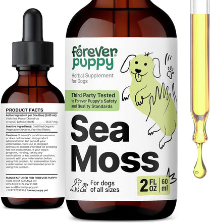 Forever Puppy Irish Sea Moss Drops for Dogs - Thyroid Function & Energy - Nutritional Drops with Liquid Sea Moss Extract - Alcohol-Free - 60 ml