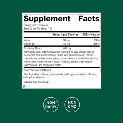 Standard Process Circuplex - Vascular & Nervous System Support - Blood Health Supplement with Niacin & Vitamin B6 - Non-Dairy, Whole Food-Based Supplement - 150 Capsules