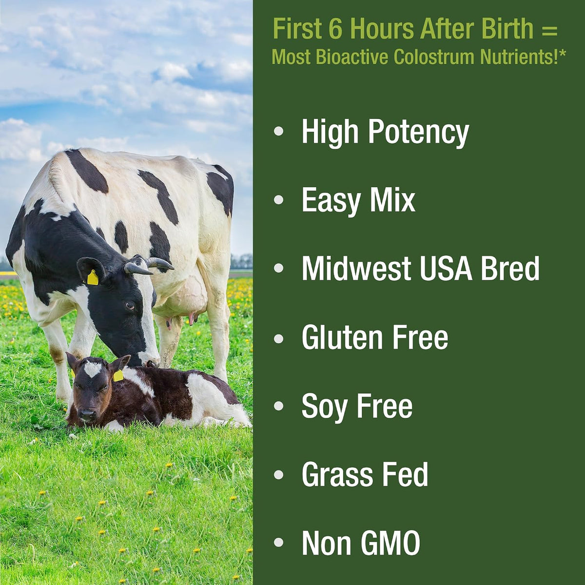 Peak Performance First Milking Colostrum Powder – Grass-Fed, Non-GMO Bovine Colostrum Supplement - görsel 3