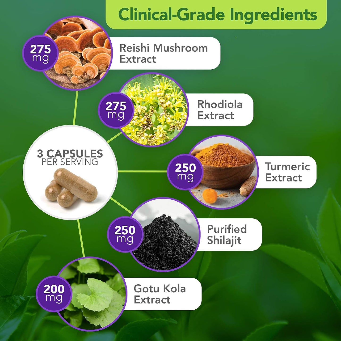 Vital Plan Daily Herbal Supplement – Immune Support, Microbiome Balance and Cell Health - görsel 4